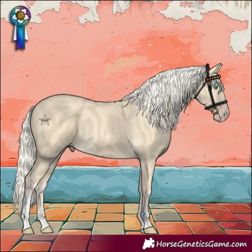 Horse Color:Gold Cream Champagne Tobiano 