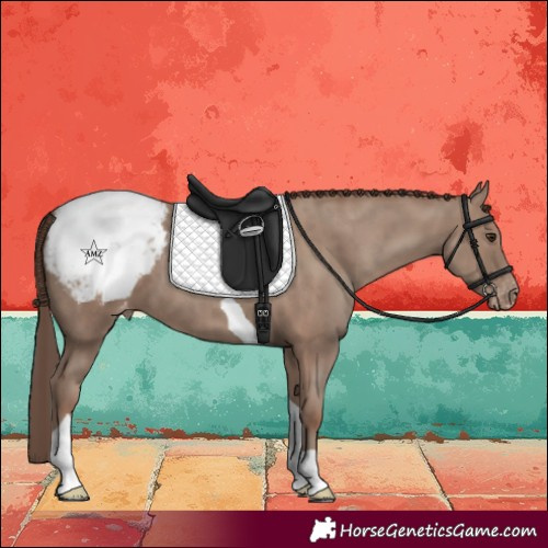 Horse Color:Classic Champagne Tobiano Snowcap 