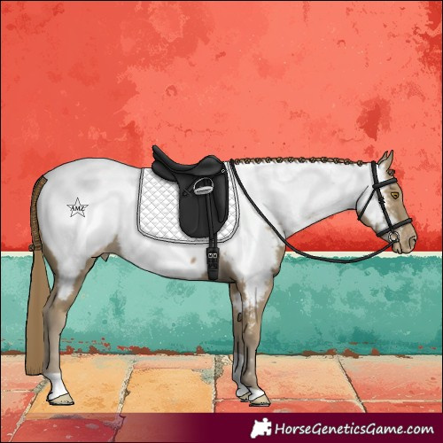 Horse Color:Classic Cream Champagne Tobiano Near Fewspot 