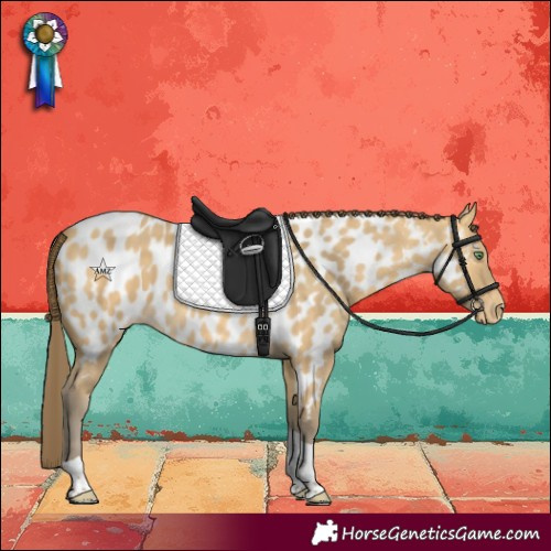 Horse Color:Amber Cream Champagne Tobiano Near Leopard 