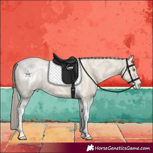 Horse Color:Amber Cream Champagne Tobiano Blanket 