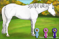 Horse Color:Gold Champagne Roan Dun Splash Tobiano Frame Appaloosa Rabicano 