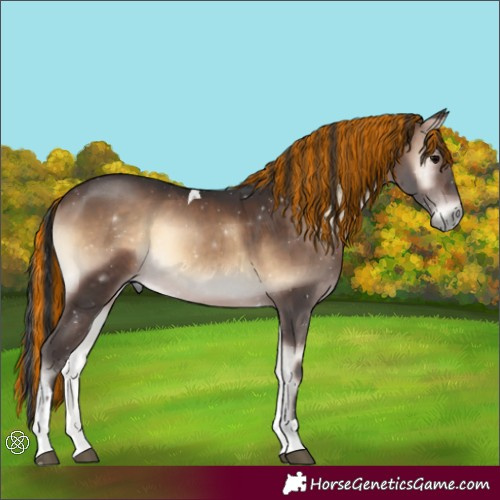 Horse Color:Unknown 