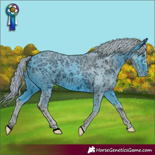 Horse Color:ERROR: UNKNOWN ANOMALY