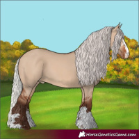 Horse Color:Silver Brown Dun Varnish 