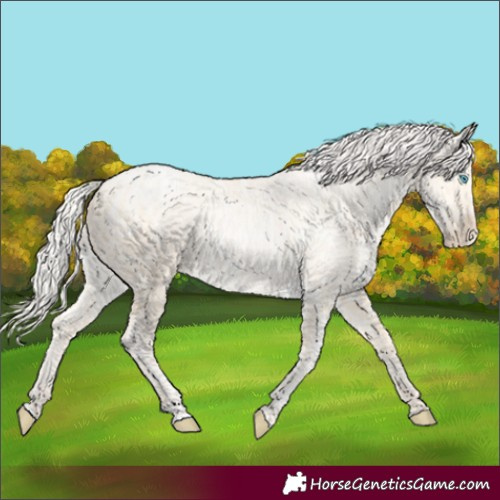 Horse Color:Silver Amber Cream Champagne Ice Pearl 