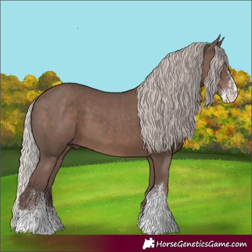 Horse Color:Silver Black Sabino 