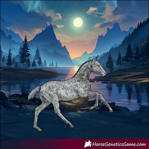 Horse Color:ERROR: UNKNOWN ANOMALY