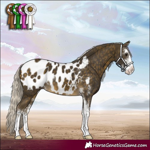 Horse Color:Silver Buckskin Sabino Blanket