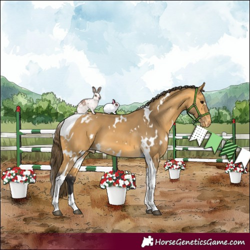Horse Color:White Spotted Buckskin Tobiano Varnish