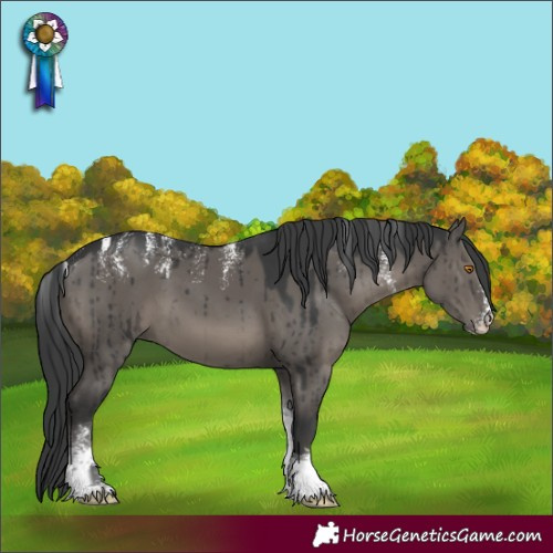Horse Color:Powder White Grullo Tobiano Brindle