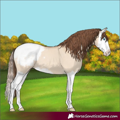 Horse Color:Amber Champagne Dun Splash Snowcap 