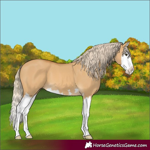 Horse Color:Palomino Dun Splash