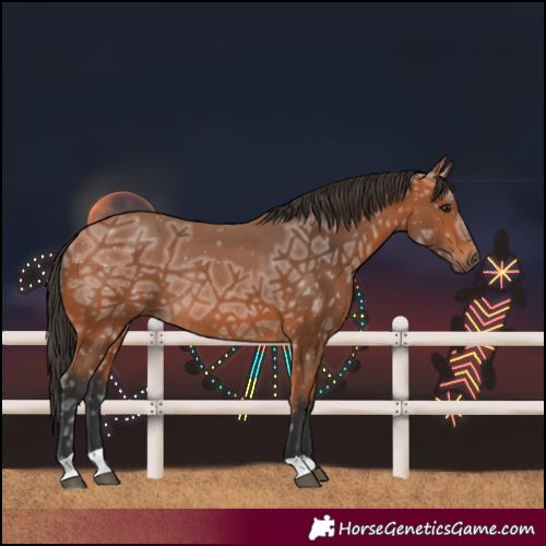 Horse Color:Bay Ice Rabicano 
