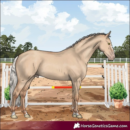 Horse Color:Silver Classic Champagne Dun Rabicano 