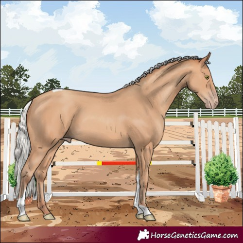 Horse Color:Silver Amber Champagne Tobiano