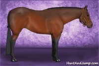 Horse Color:Brown 