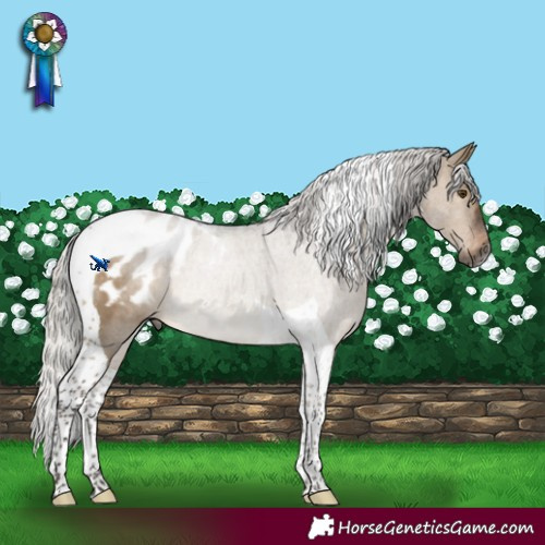Horse Color:Gray Silver Brown Dun Tobiano Blanket Rabicano