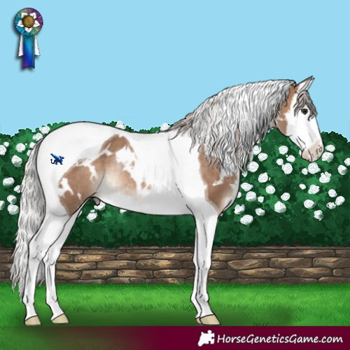 Horse Color:White Spotted Silver Bay Dun Splash Tobiano Rabicano 