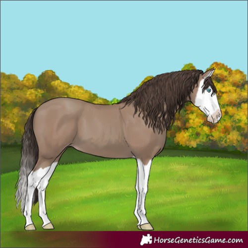 Horse Color:Classic Champagne Splash