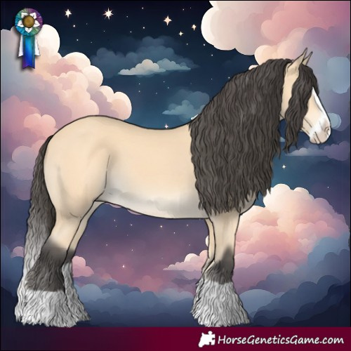 Horse Color:Buckskin Splash 