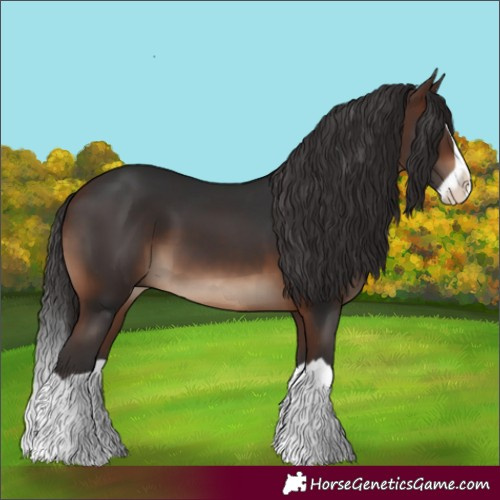 Horse Color:Brown Splash