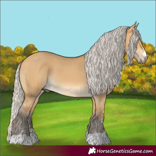 Horse Color:Silver Buckskin Dun