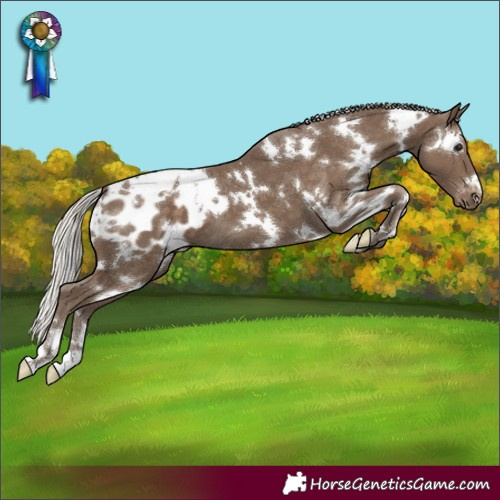 Horse Color:White Spotted Silver Smoky Black Blanket 