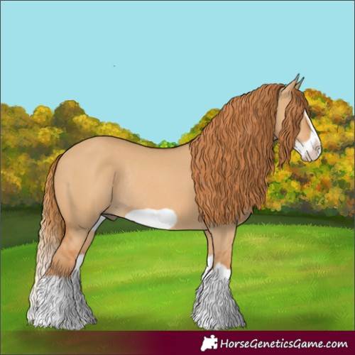 Horse Color:Red Dun Splash Frame Rabicano 