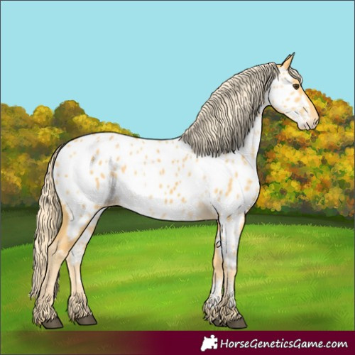 Horse Color:Palomino Near Leopard