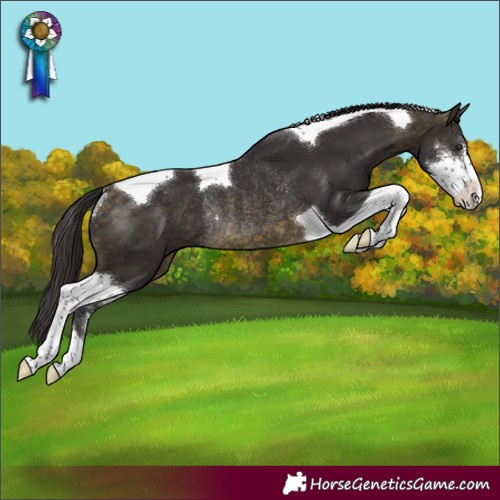 Horse Color:Buckskin Sabino Tobiano Varnish Rabicano
