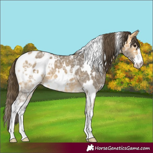 Horse Color:White Spotted Buckskin Ice Blanket