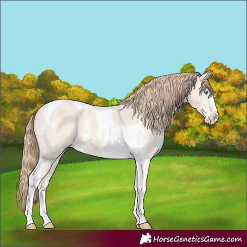 Horse Color:Perlino Dun Sabino Tobiano 
