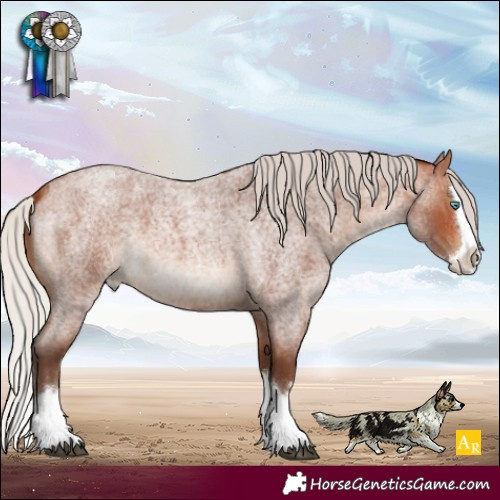 Horse Color:Silver Bay Roan Splash