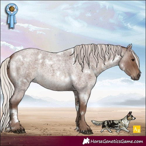 Horse Color:White Spotted Silver Blue Roan 
