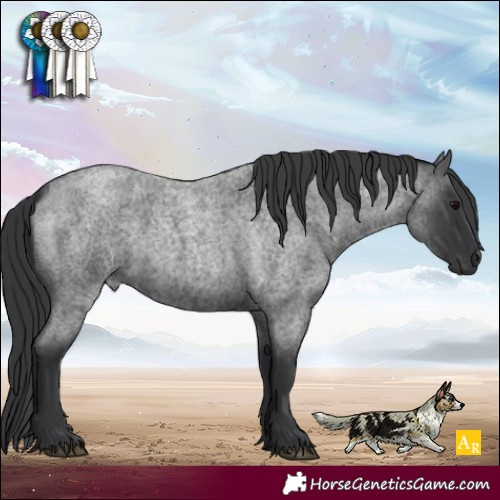 Horse Color:Blue Roan 