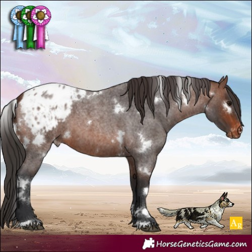 Horse Color:White Spotted Brown Roan Blanket