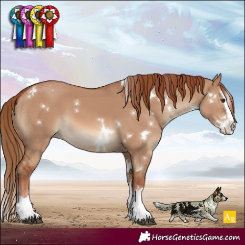Horse Color:White Spotted Red Dun Splash 