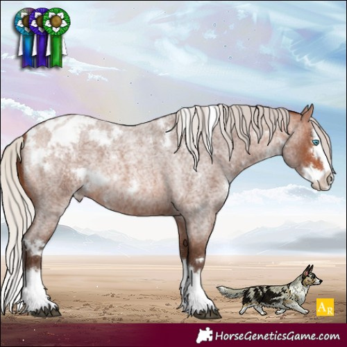 Horse Color:White Spotted Silver Brown Roan Splash Varnish