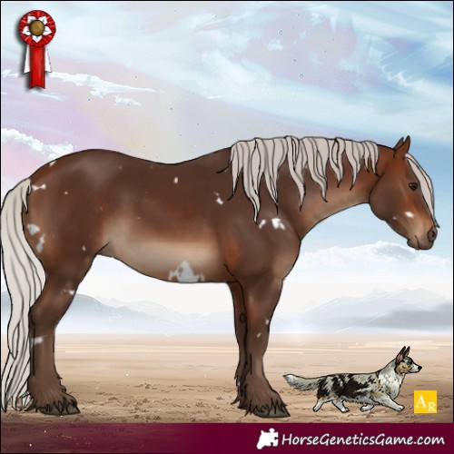 Horse Color:White Spotted Silver Brown