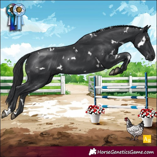 Horse Color:White Spotted Black