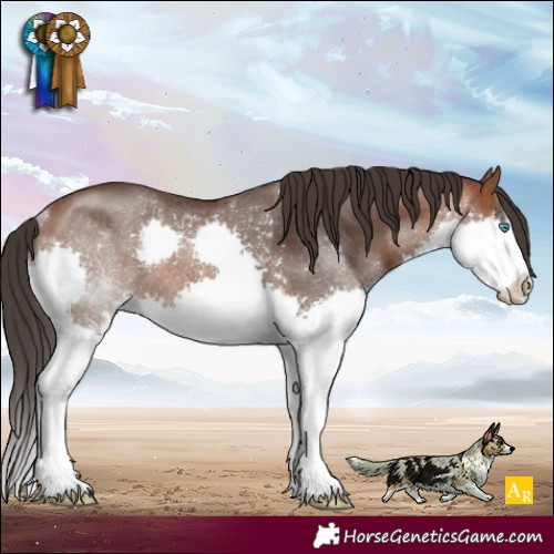 Horse Color:Bay Splash Rabicano