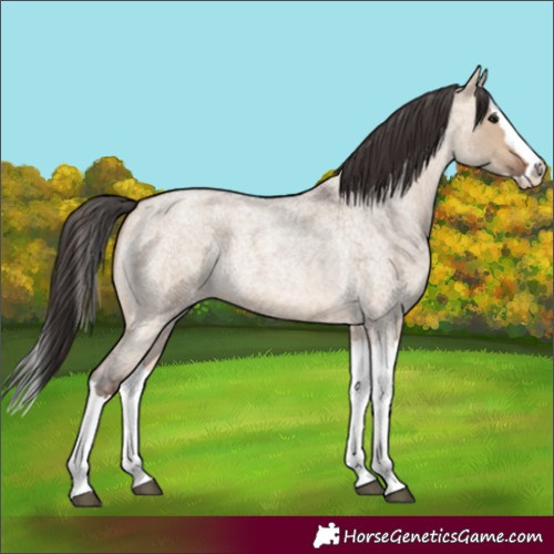 Horse Color:Bay Roan Dun Splash 
