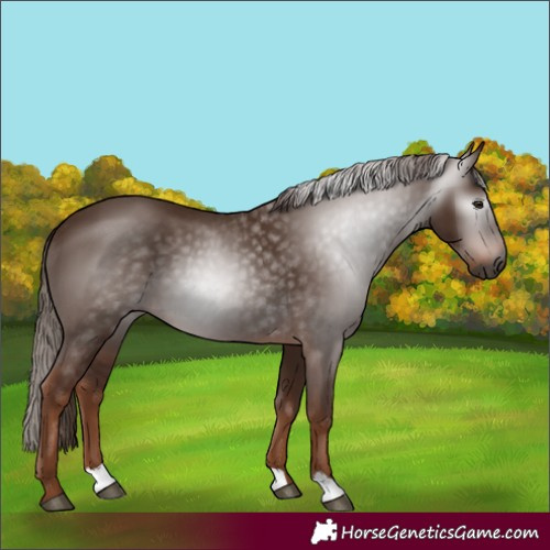 Horse Color:Unknown 