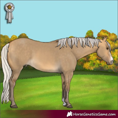 Horse Color:Silver Buckskin Dun Sabino 