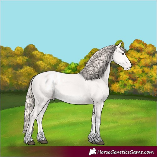Horse Color:Silver Grullo Tobiano Blanket