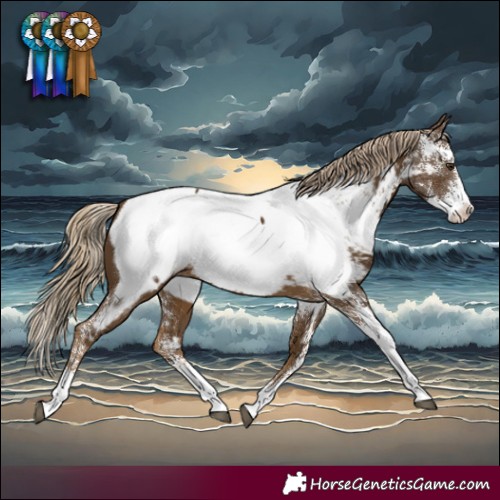 Horse Color:Chocolate Palomino Sabino Near Fewspot Rabicano 