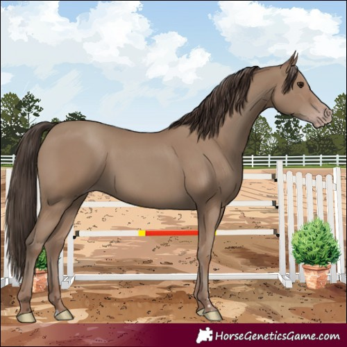 Horse Color:Classic Champagne 