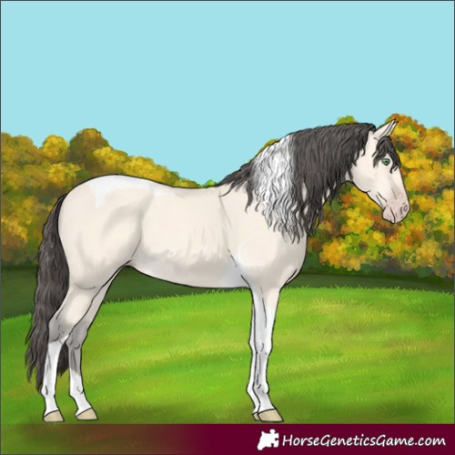 Horse Color:Amber Cream Champagne Tobiano 