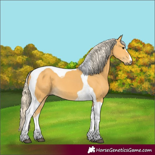 Horse Color:Palomino Tobiano 